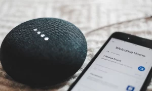 Article thumb 6